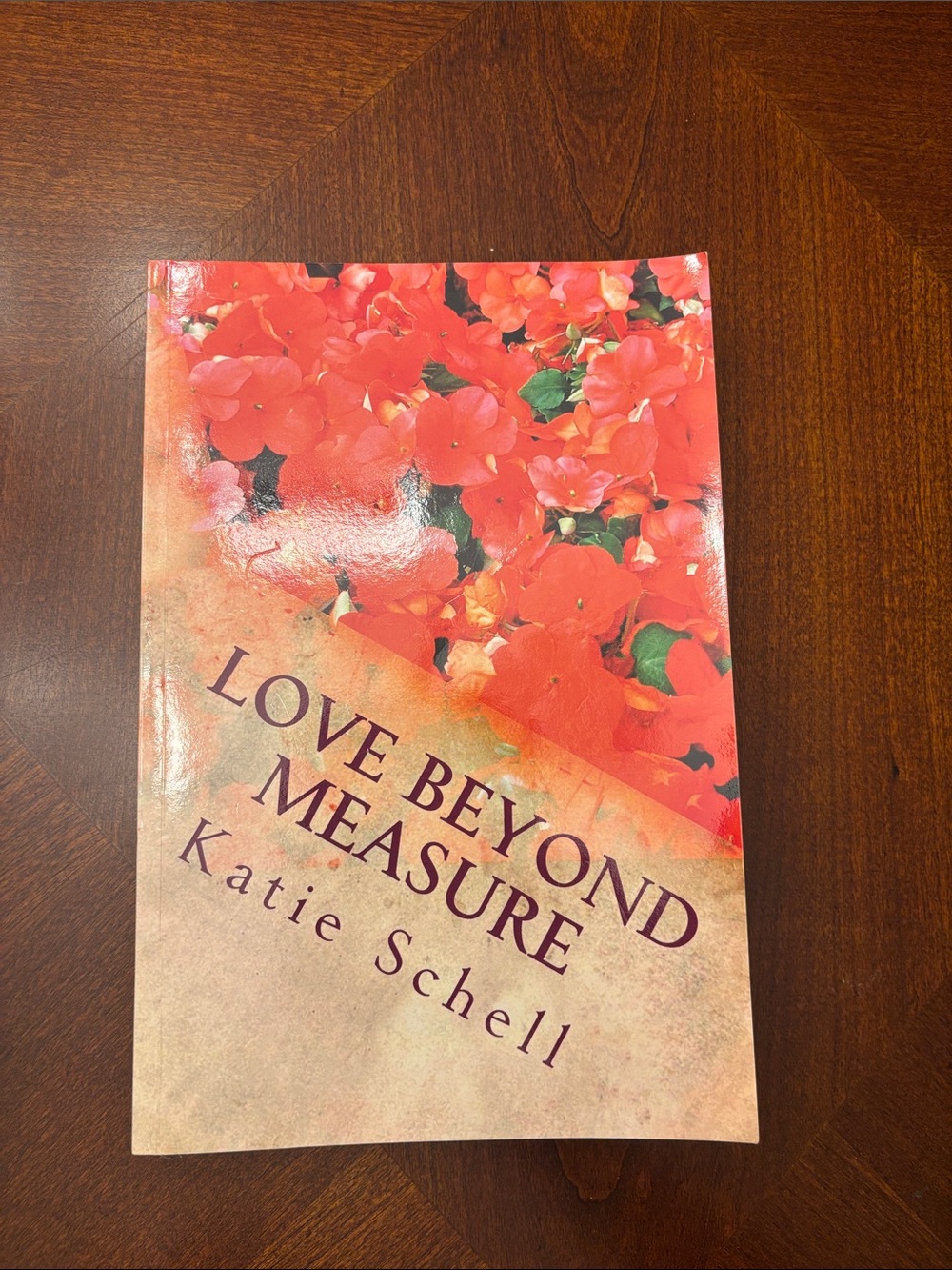 Love Beyond Measure book by Katie Schell